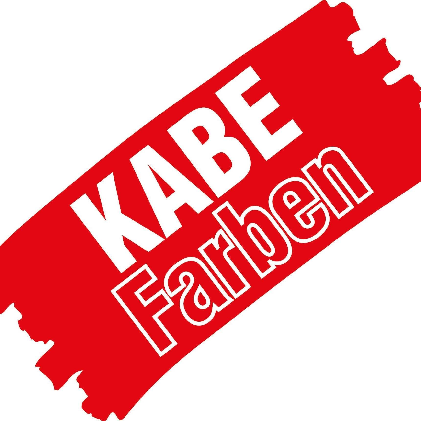 KARL BUBENHOFER AG's icon