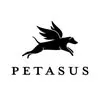 Petasus's icon