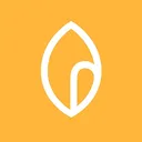 Msl's icon