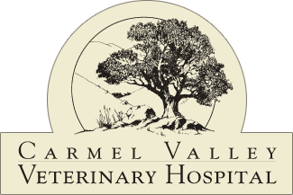 Carmel Valley Veterinary Hospital | Carmel Valley CA Logo & Brand ...