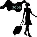 jetsetwithbarb.com's icon