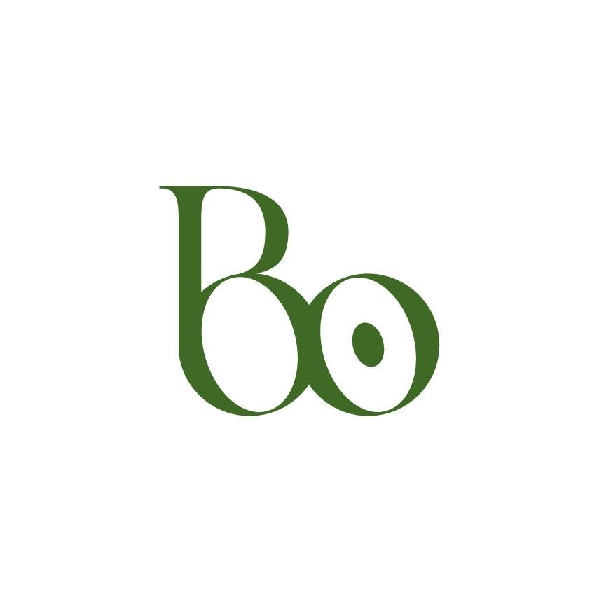 Bo Eiendom's icon