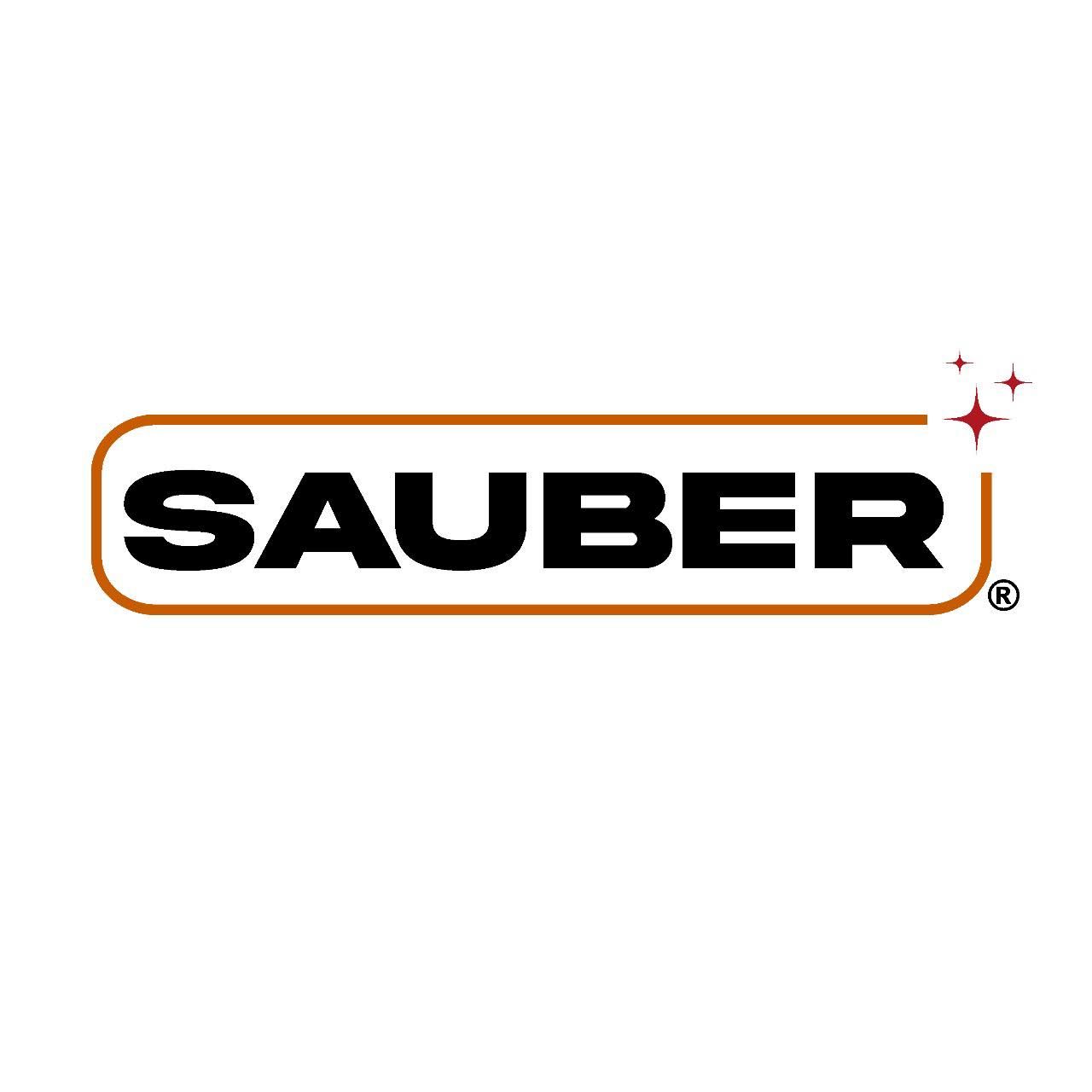 Sauber Ltda's icon