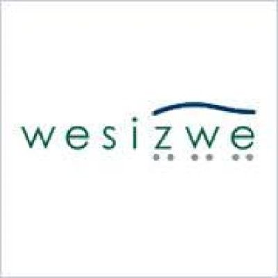 Wesizwe Platinum Ltd.'s icon