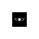 Groupbmw's icon