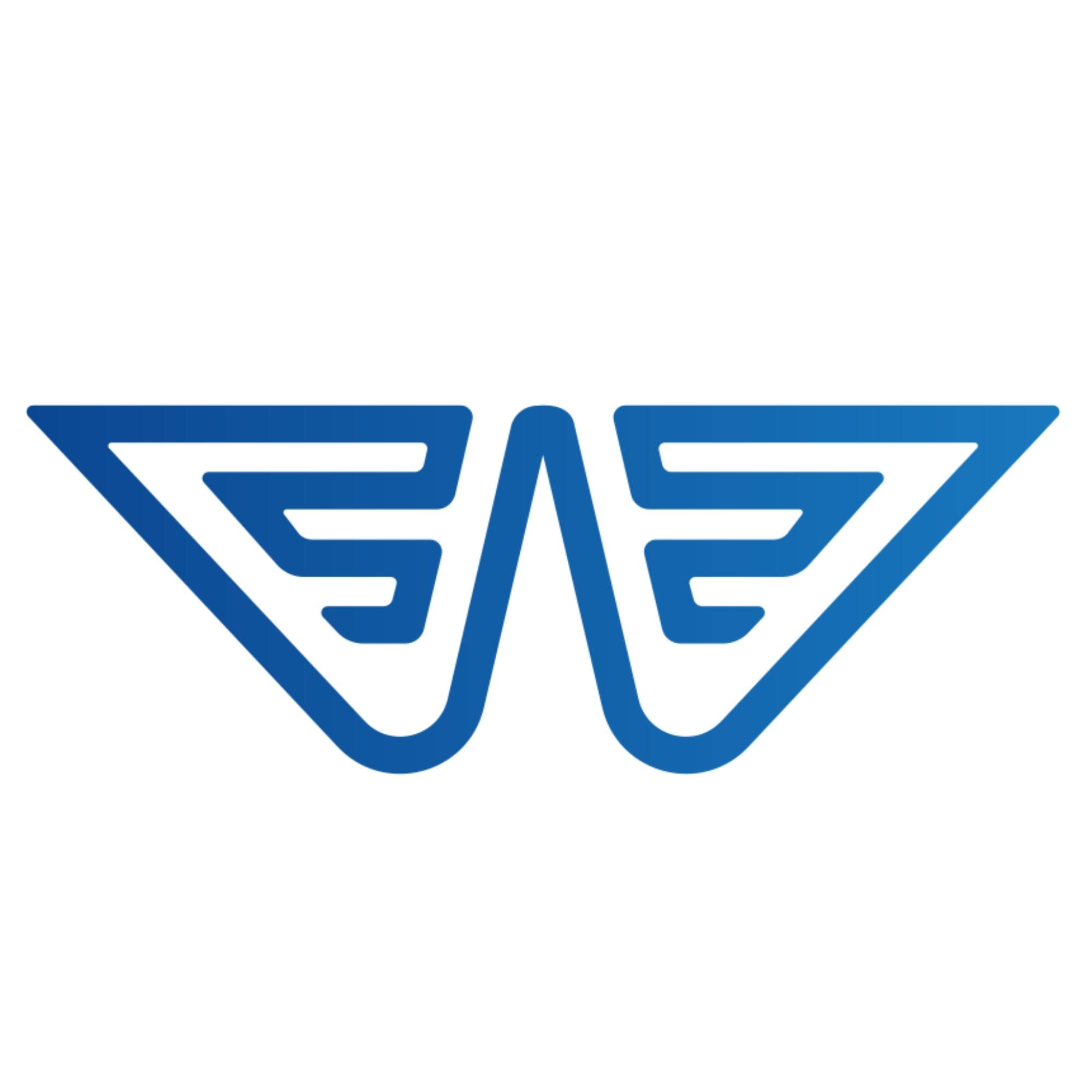 Wide Wings's icon