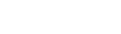 Wildcat Mini's logos