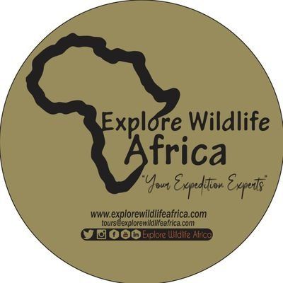Explore Wildlife Africa's icon