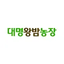 kingbam.co.kr's icon