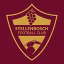 Stellenbosch FC's icon