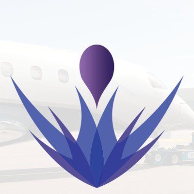 Pula Aviation Services Limited's icon
