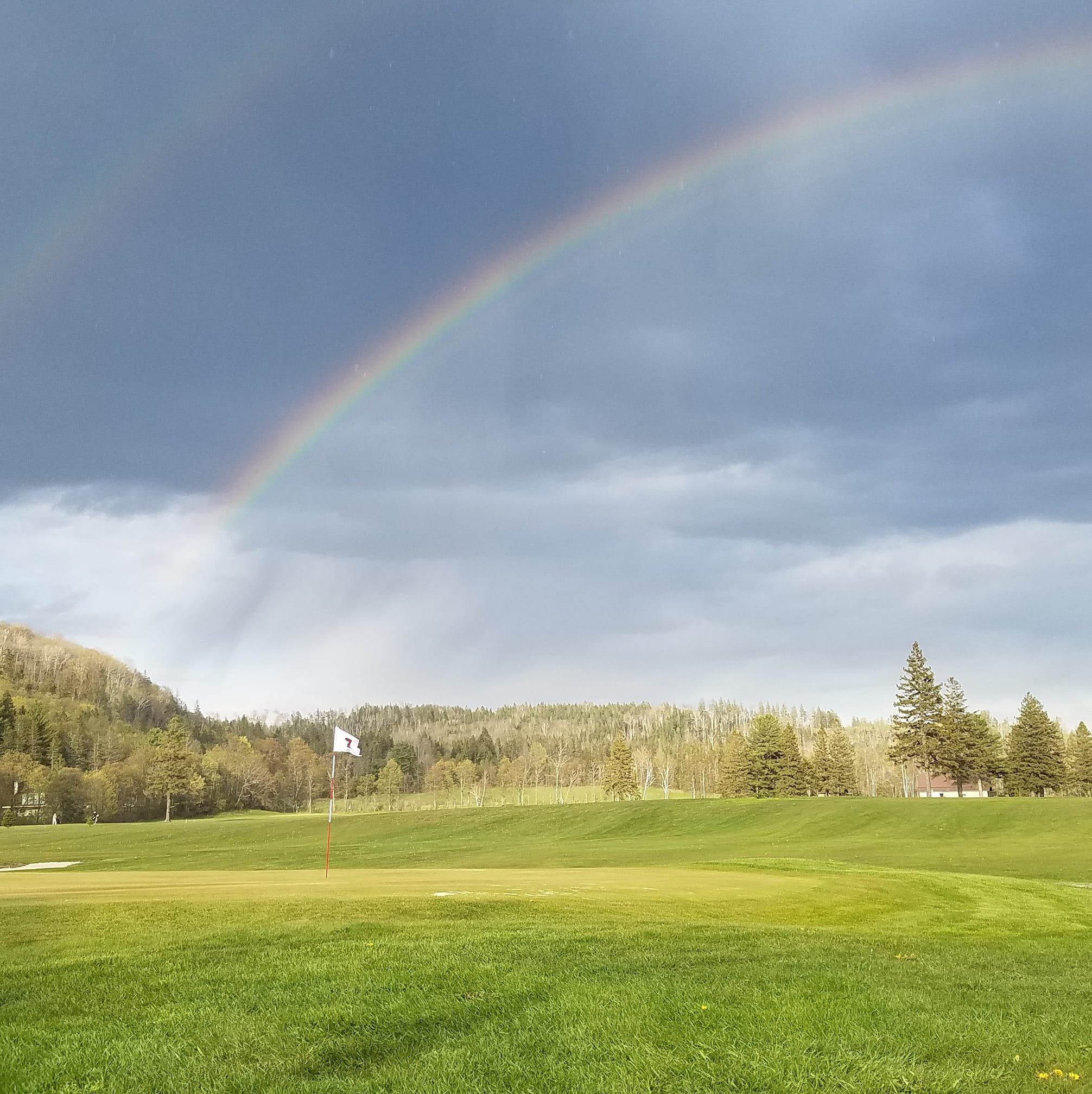 Colebrook CC's icon