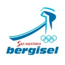 Bergisel's icon