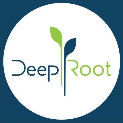 DeepRoot's icon