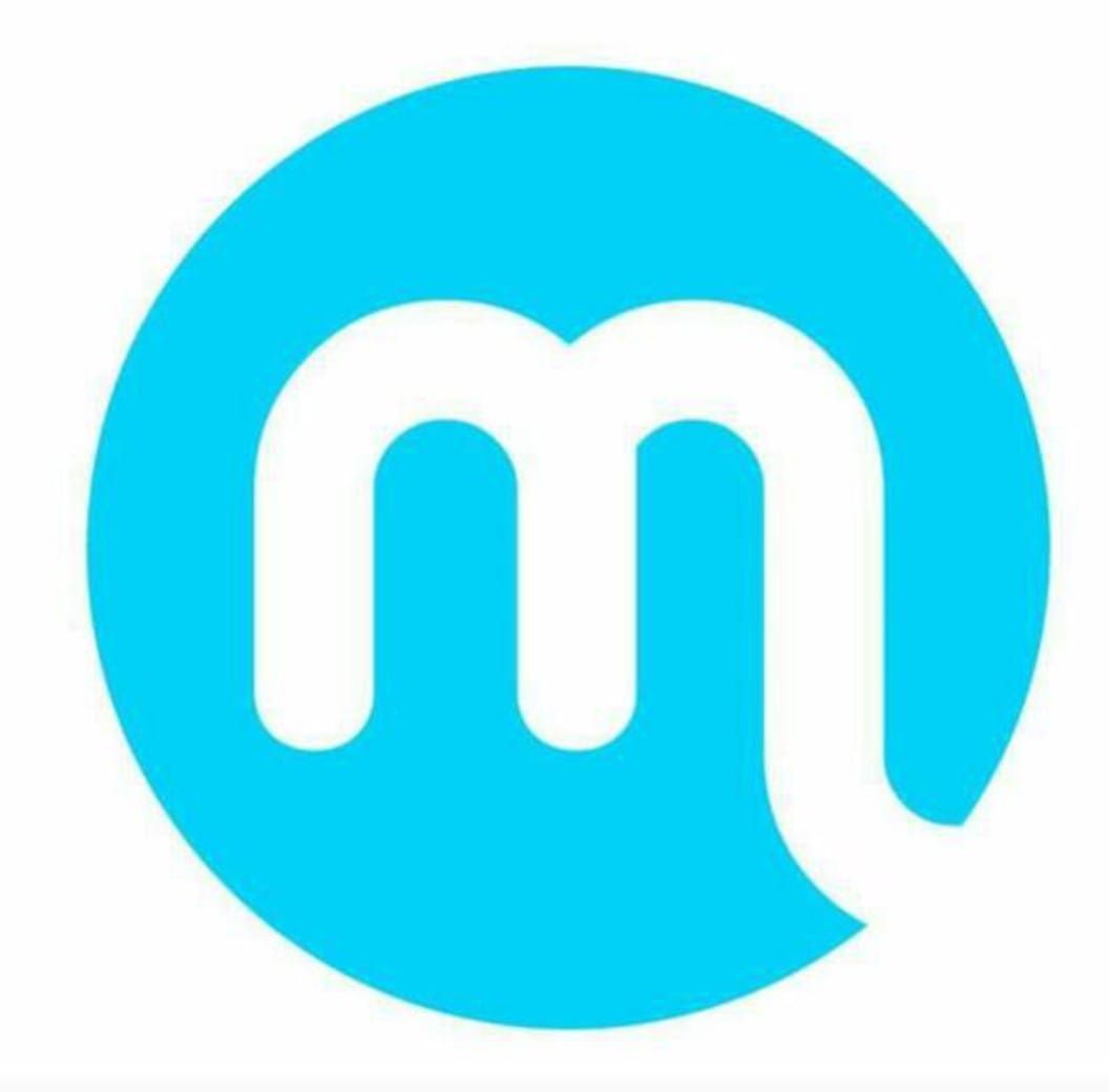 Macrosoft Group's icon