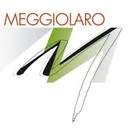 Autoser.Meggiolaro's icon