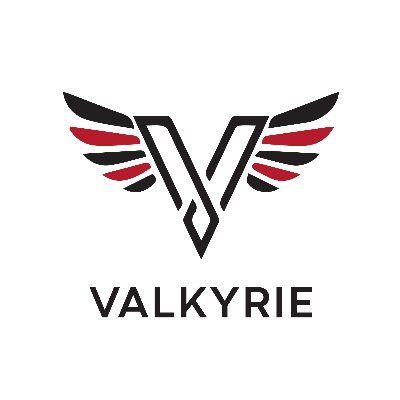 Valkyrie Investment Group Inc.'s icon