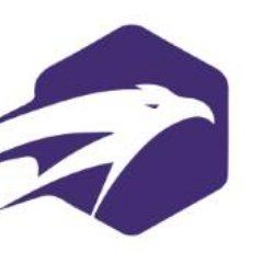 Eagle Security and Safety Center's icon
