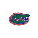 gatorsjerseysale.info's icon