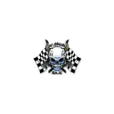 rcautakolin.cz's icon