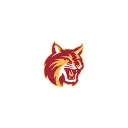 Saddleback College Football's icon