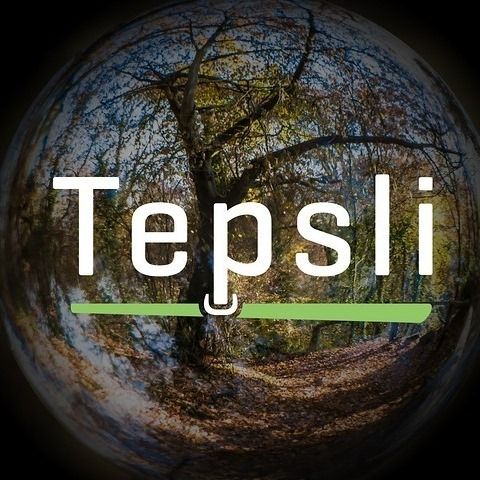 Tepsli OÜ's icon