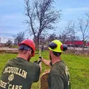 McQuillin Tree Care LLC's icon