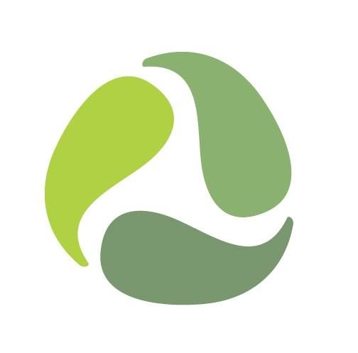 Kinesiology Asia's icon