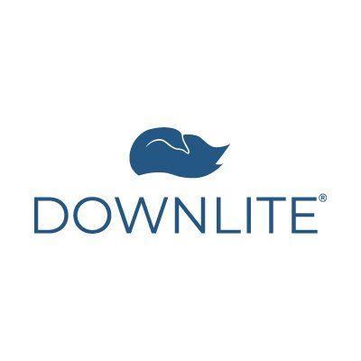 DOWNLITE's icon