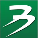 Bingo's icon