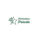 Floricultura Priscila's icon