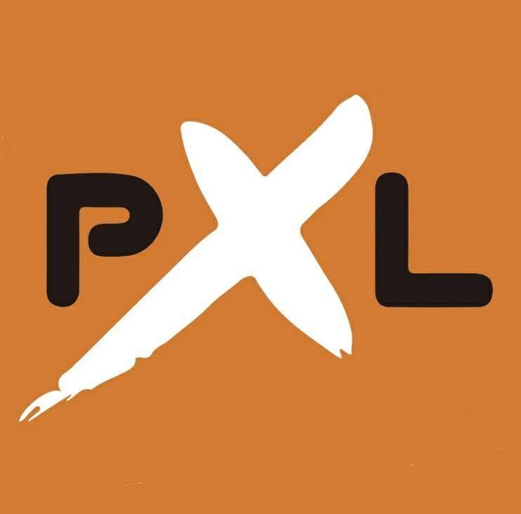 Playxlife's icon