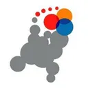 SNN's icon