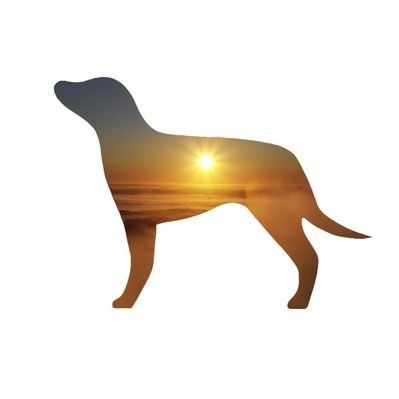 Little Brown Dog Spirits's icon