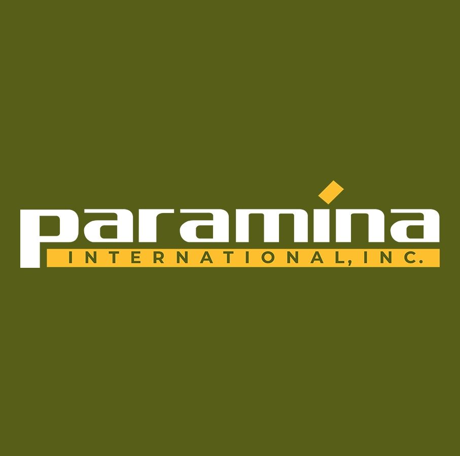 Paramina International's icon