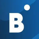 BidVertiser's icon