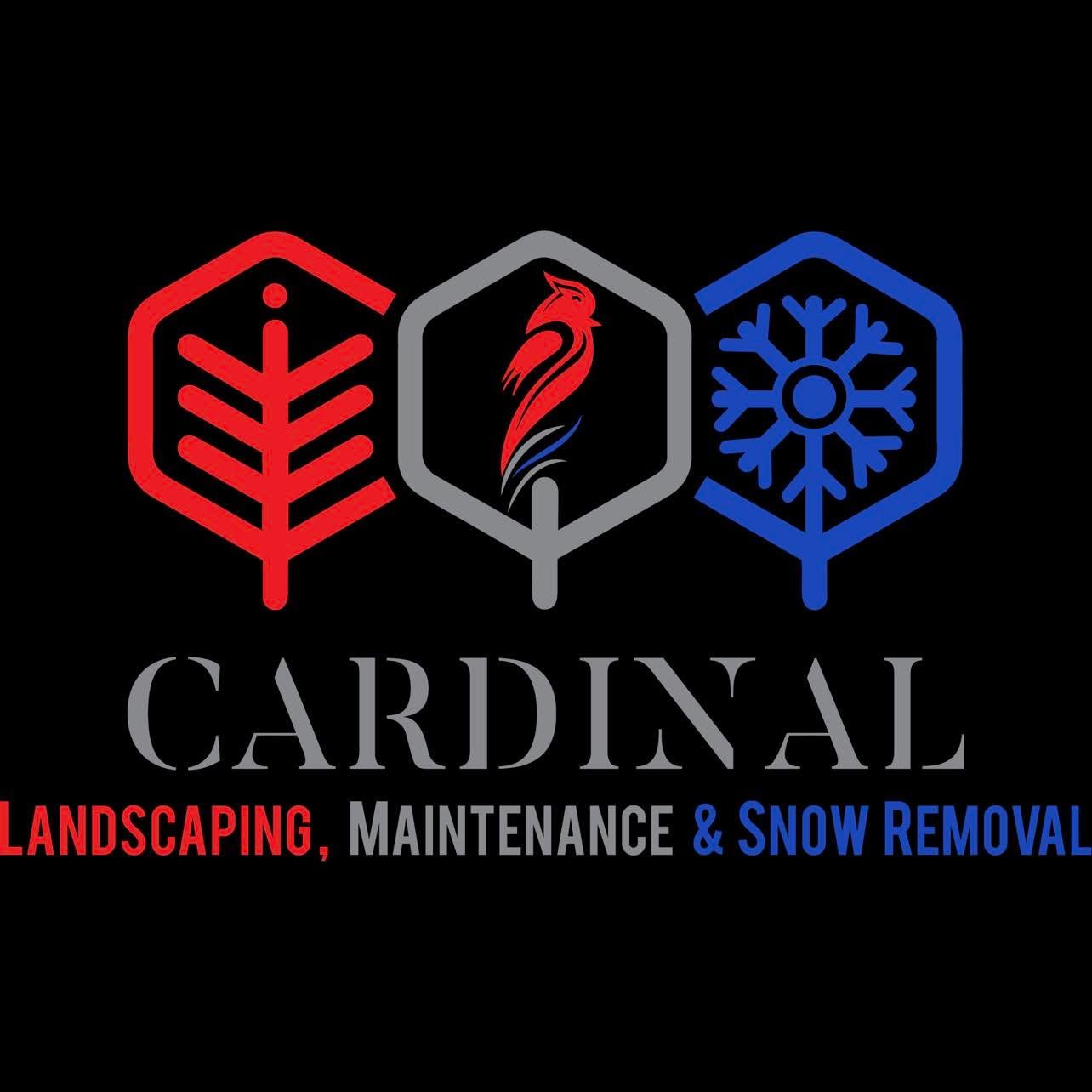 cardinallm.net's icon