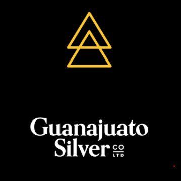 Guanajuato Silver Company Ltd.'s icon