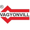 Vagyonvill's icon