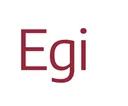 Egility |SEO Graz | Elke Egi, MBA's icon