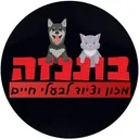 בוננזה's icon