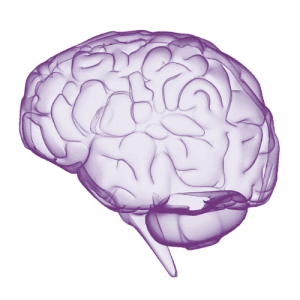 LearningRx logo