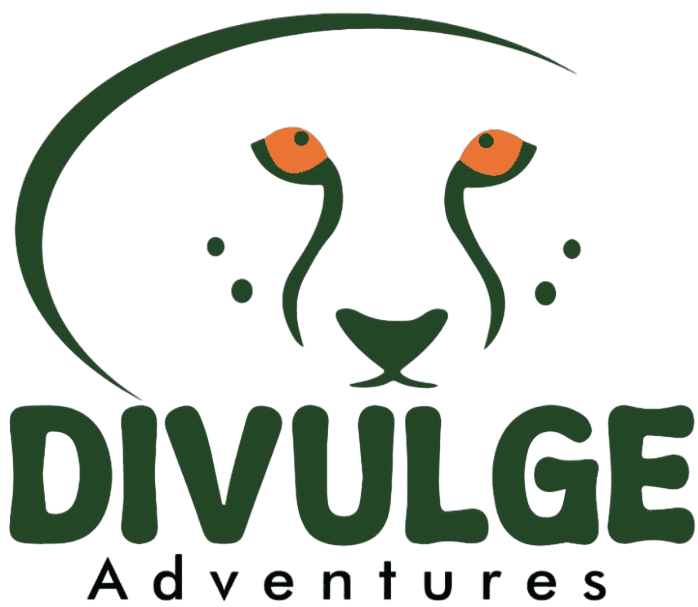 Divulge Adventures Ltd's logos