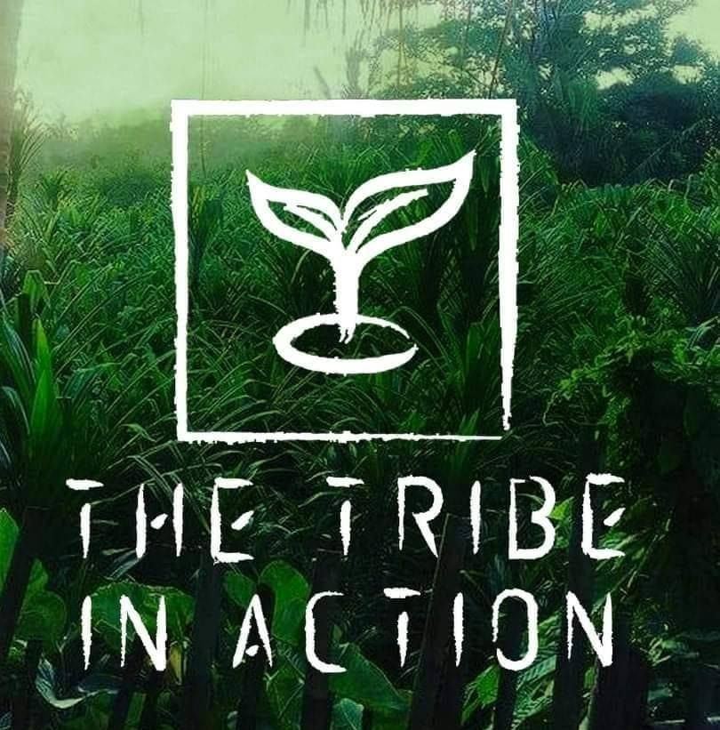 The Tribe In Action's icon