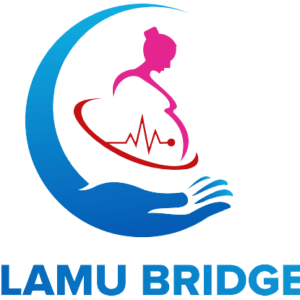 Bulamu Bridge AI's logos