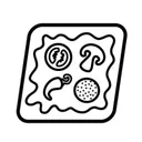 Express Pizza Polska's icon