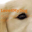 Love4MyDog's icon