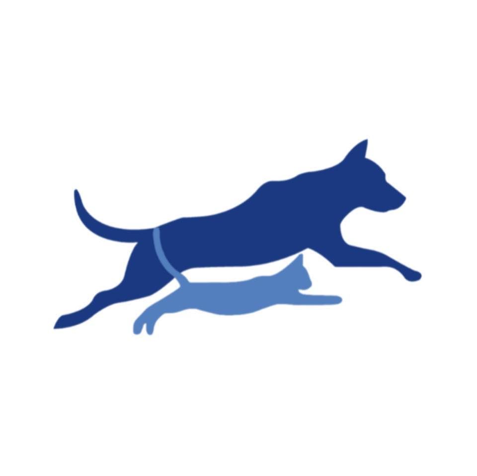 North Point Animal Hospital 北角動物醫院's icon