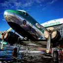 Buffalo Airways's icon