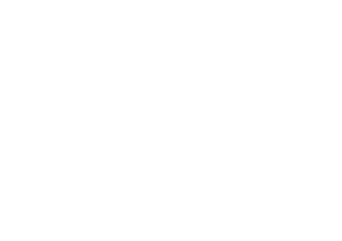 ROIG's logos